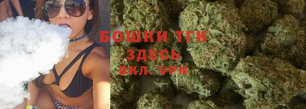 ПСИЛОЦИБИНОВЫЕ ГРИБЫ Верхний Тагил