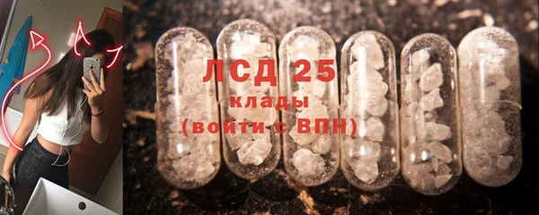 ПСИЛОЦИБИНОВЫЕ ГРИБЫ Верхний Тагил