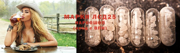 ПСИЛОЦИБИНОВЫЕ ГРИБЫ Верхний Тагил